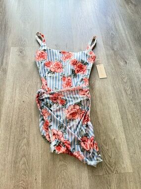 hutch cyndi blue & pink striped mesh skirt one piece bikini swimwear small NEW